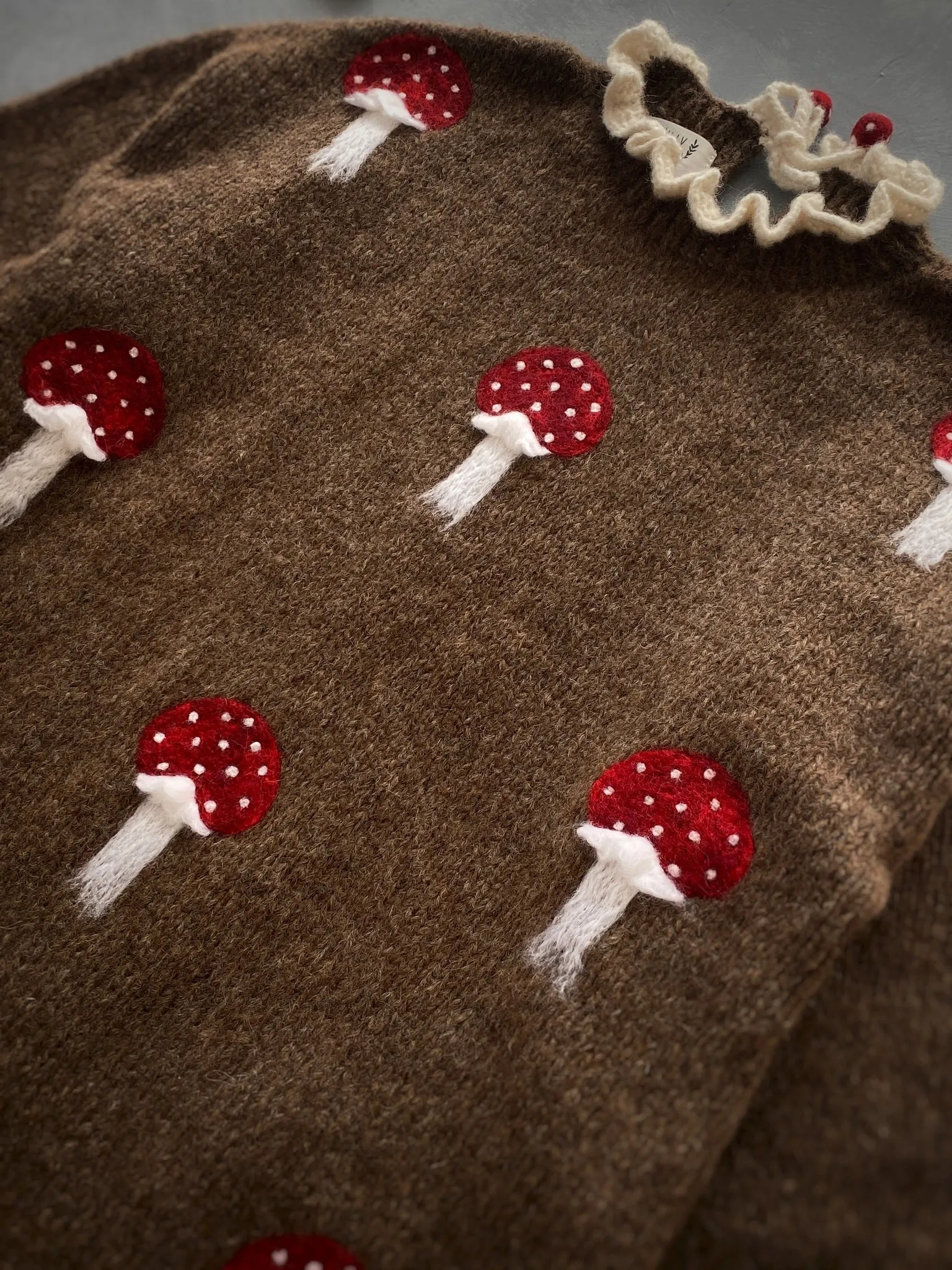 Adult Mushrooms pullover | Brown