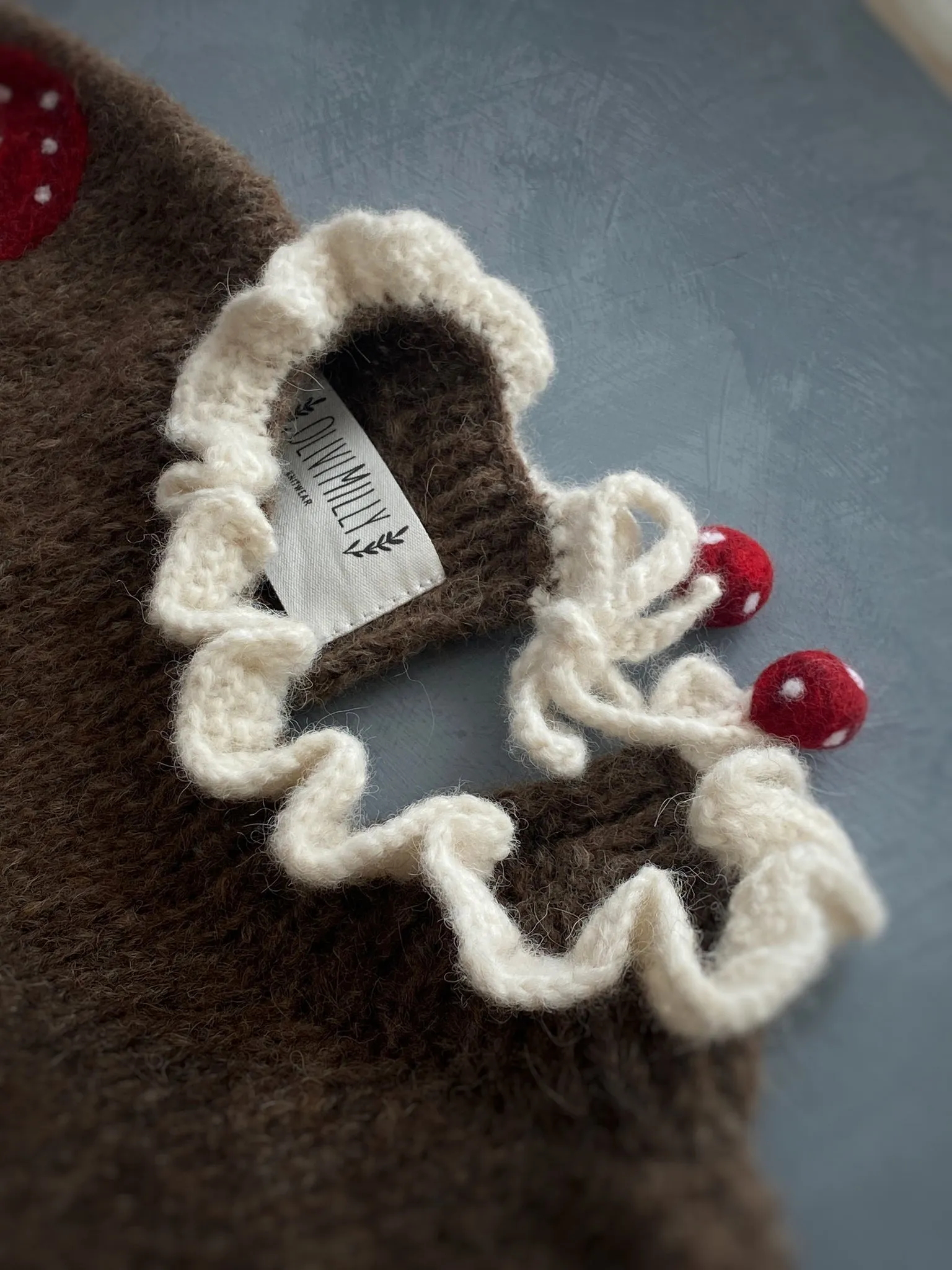 Adult Mushrooms pullover | Brown