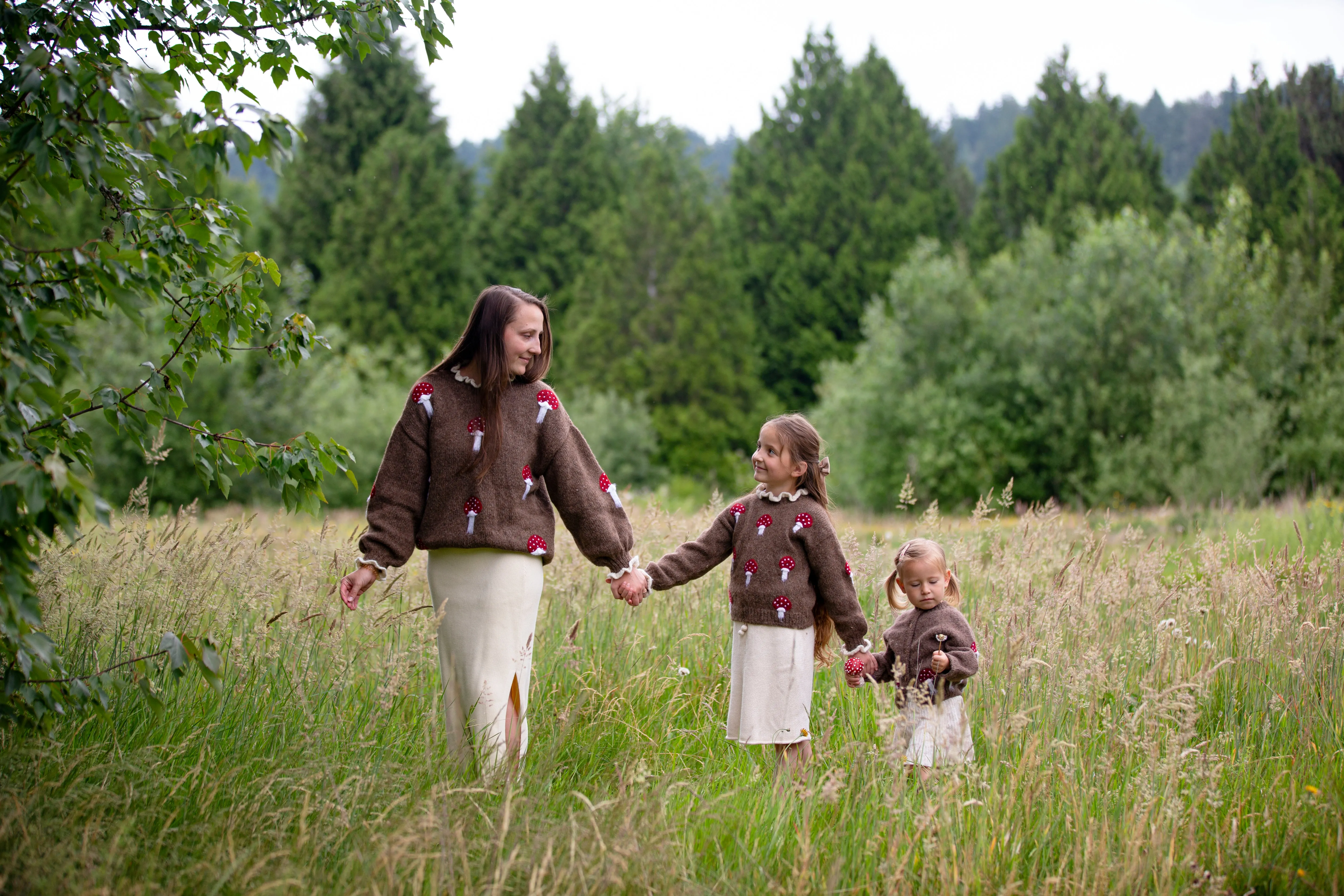 Adult Mushrooms pullover | Brown