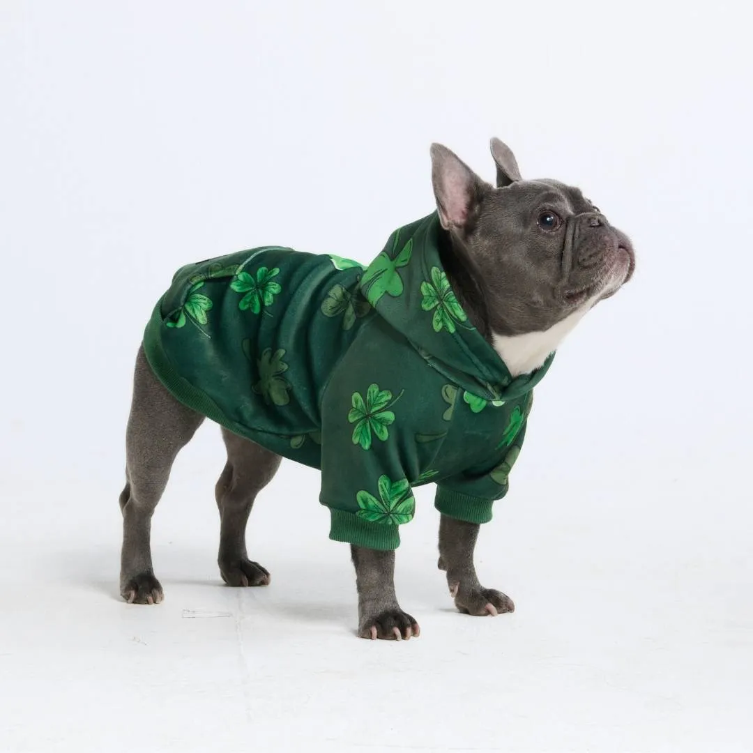 St. Paddy's Dog Hoodies (Limited Edition)