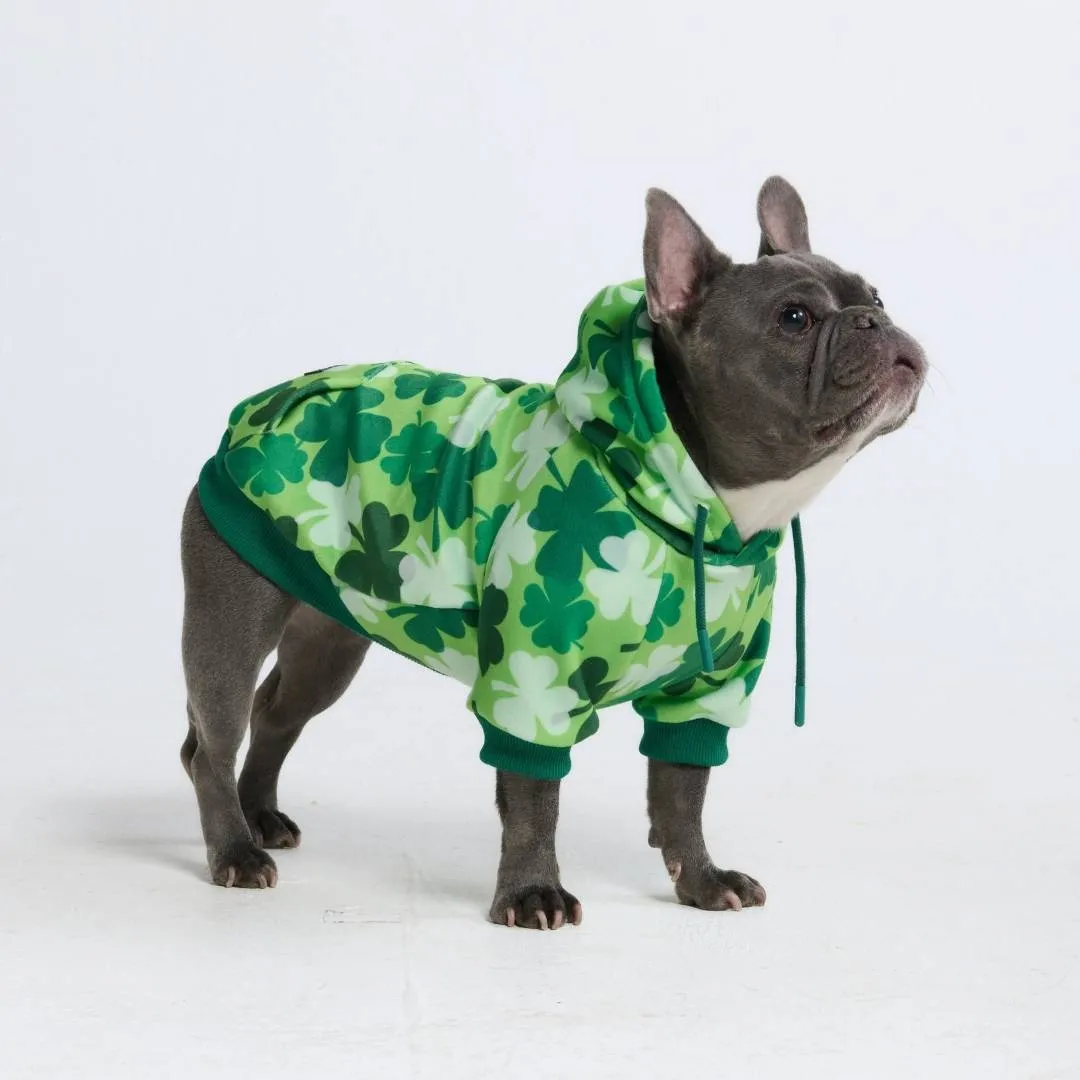 St. Paddy's Dog Hoodies (Limited Edition)