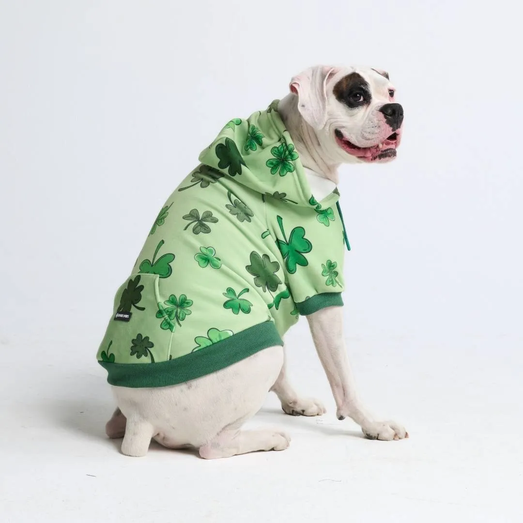 St. Paddy's Dog Hoodies (Limited Edition)