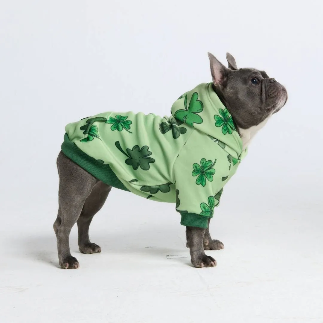 St. Paddy's Dog Hoodies (Limited Edition)
