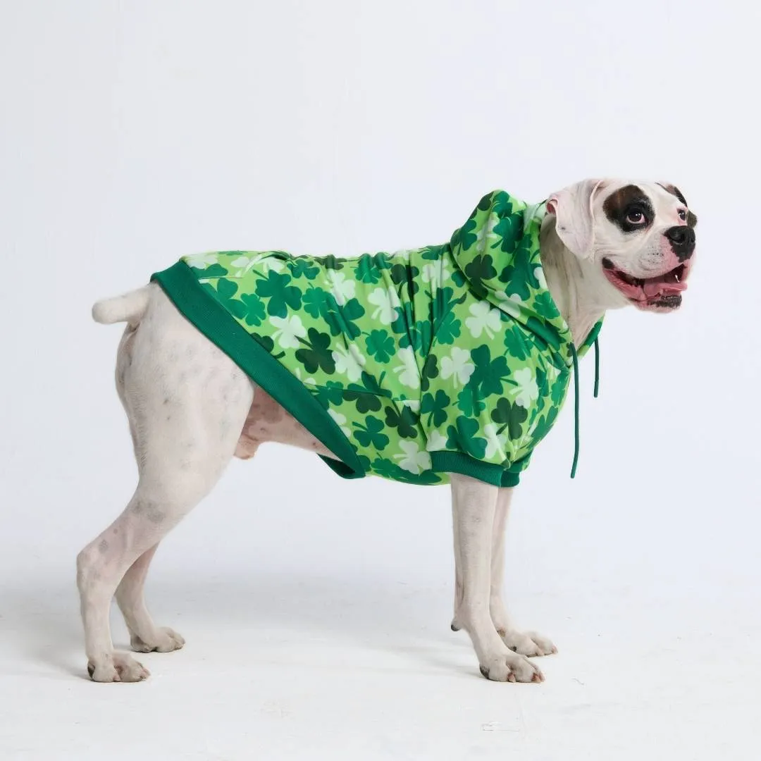 St. Paddy's Dog Hoodies (Limited Edition)