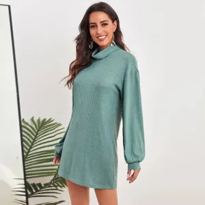 Turtleneck Waffle Knitted Short Dress